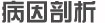 病因剖析
